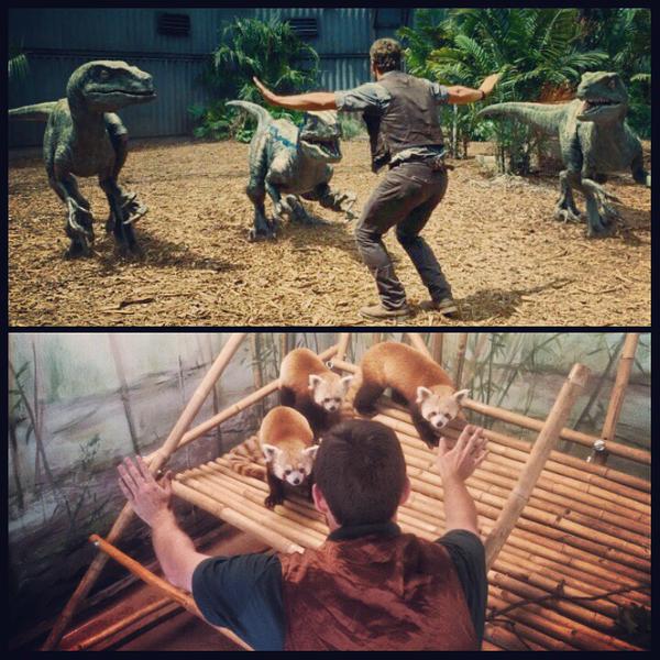 動物園紛紛效法 Chris Patt 馴服速龍這場景，以電影的象徵符號來說，很諷刺吧！